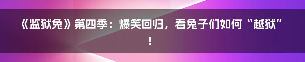 《监狱兔》第四季:爆笑回归,看兔子们如何“越狱”!