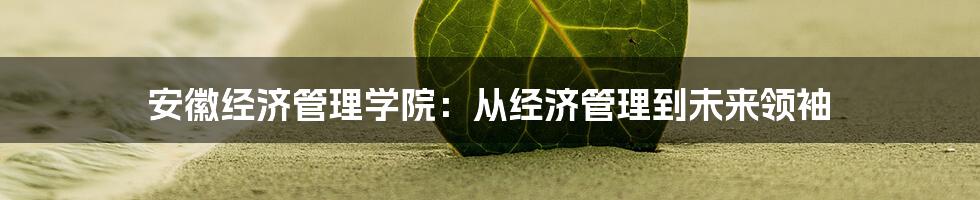 安徽经济管理学院:从经济管理到未来领袖