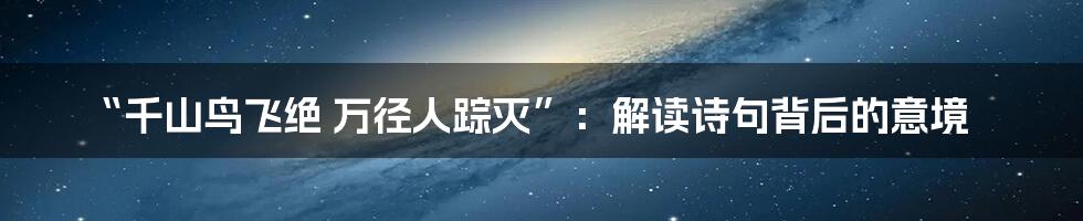 “千山鸟飞绝 万径人踪灭”:解读诗句背后的意境