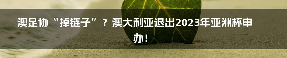澳足协“掉链子”?澳大利亚退出2023年亚洲杯申办!