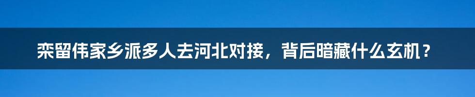 栾留伟家乡派多人去河北对接,背后暗藏什么玄机?