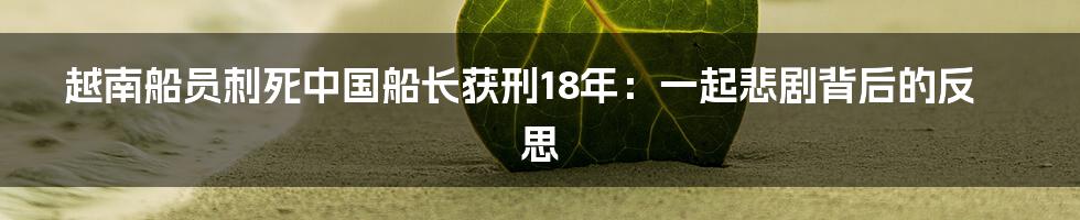 越南船员刺死中国船长获刑18年:一起悲剧背后的反思