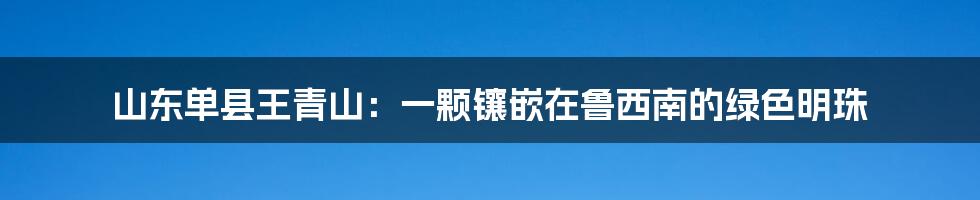 山东单县王青山:一颗镶嵌在鲁西南的绿色明珠