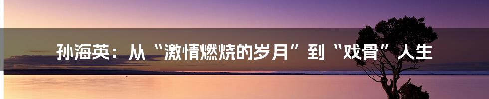 孙海英:从“激情燃烧的岁月”到“戏骨”人生