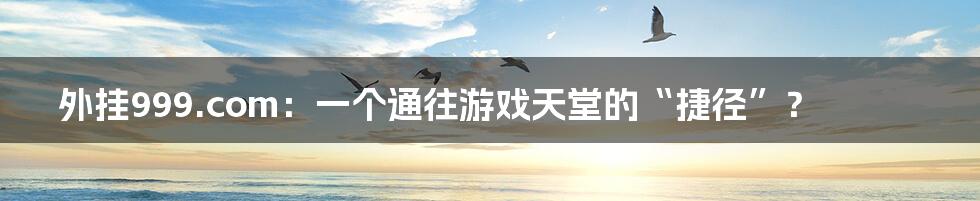 外挂999.com:一个通往游戏天堂的“捷径”?