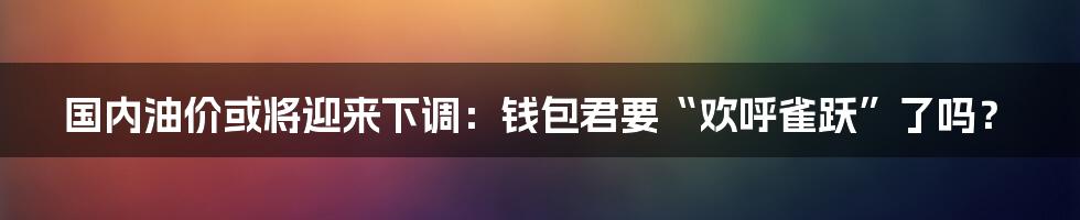 国内油价或将迎来下调:钱包君要“欢呼雀跃”了吗?