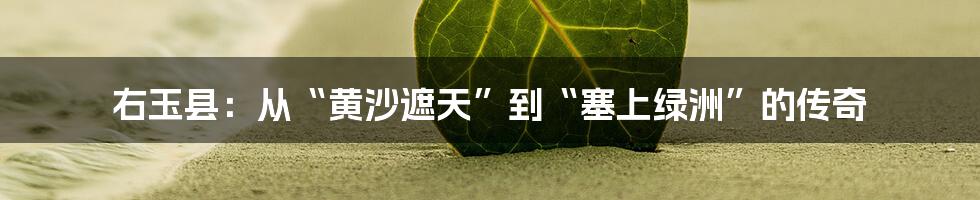 右玉县:从“黄沙遮天”到“塞上绿洲”的传奇