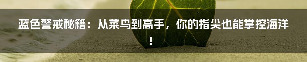 蓝色警戒秘籍:从菜鸟到高手,你的指尖也能掌控海洋!