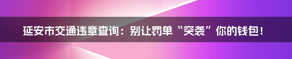 延安市交通违章查询:别让罚单“突袭”你的钱包!