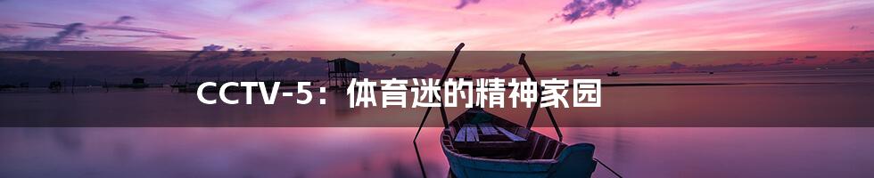 CCTV-5:体育迷的精神家园