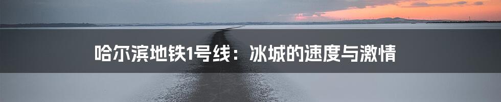 哈尔滨地铁1号线:冰城的速度与激情