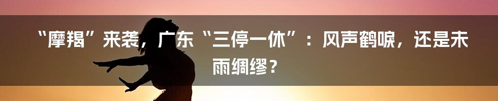 “摩羯”来袭,广东“三停一休”:风声鹤唳,还是未雨绸缪?