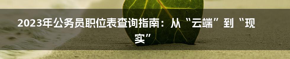 2023年公务员职位表查询指南：从“云端”到“现实”