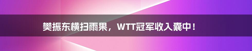 樊振东横扫雨果,WTT冠军收入囊中!