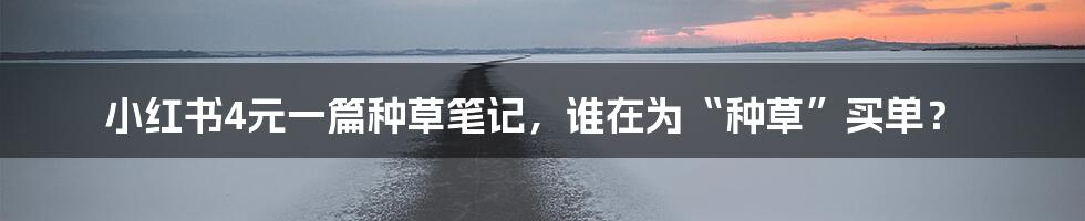 小红书4元一篇种草笔记,谁在为“种草”买单?
