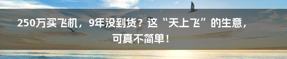 250万买飞机,9年没到货?这“天上飞”的生意,可真不简单!
