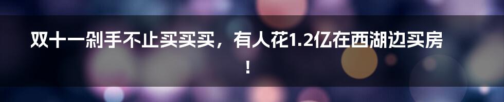 双十一剁手不止买买买,有人花1.2亿在西湖边买房!