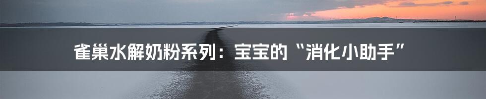 雀巢水解奶粉系列:宝宝的“消化小助手”