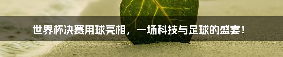 世界杯决赛用球亮相,一场科技与足球的盛宴!