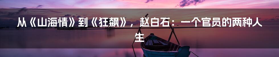 从《山海情》到《狂飙》,赵白石:一个官员的两种人生