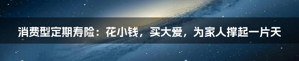 消费型定期寿险:花小钱,买大爱,为家人撑起一片天