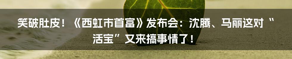 笑破肚皮!《西虹市首富》发布会:沈腾、马丽这对“活宝”又来搞事情了!