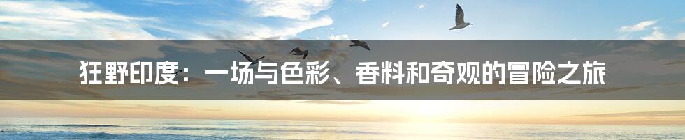 狂野印度:一场与色彩、香料和奇观的冒险之旅