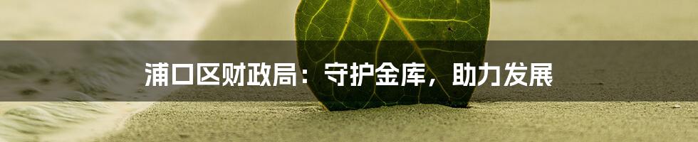 浦口区财政局:守护金库,助力发展