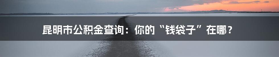 昆明市公积金查询:你的“钱袋子”在哪?