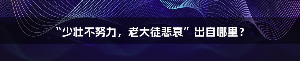 “少壮不努力,老大徒悲哀”出自哪里?