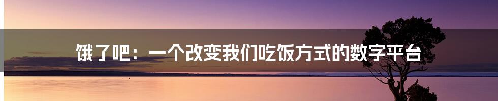 饿了吧:一个改变我们吃饭方式的数字平台