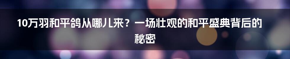 10万羽和平鸽从哪儿来?一场壮观的和平盛典背后的秘密