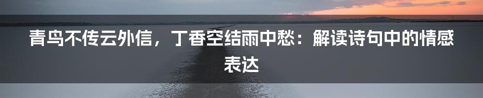 青鸟不传云外信,丁香空结雨中愁:解读诗句中的情感表达