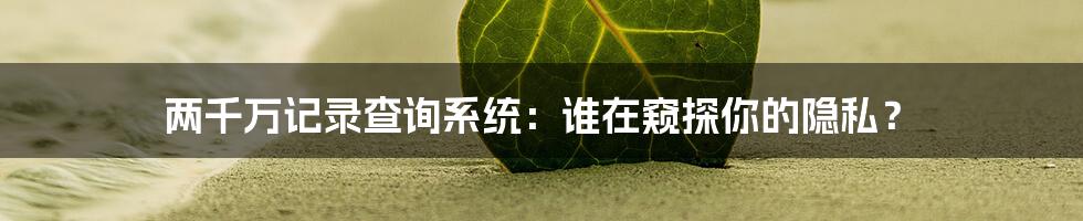 两千万记录查询系统:谁在窥探你的隐私?