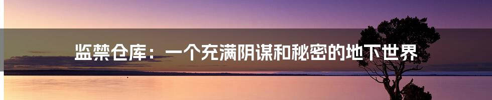 监禁仓库:一个充满阴谋和秘密的地下世界