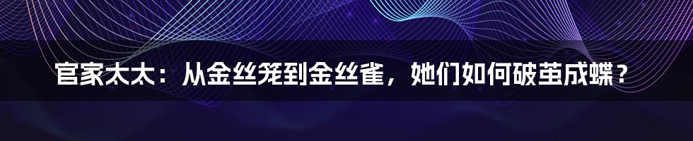 官家太太:从金丝笼到金丝雀,她们如何破茧成蝶?