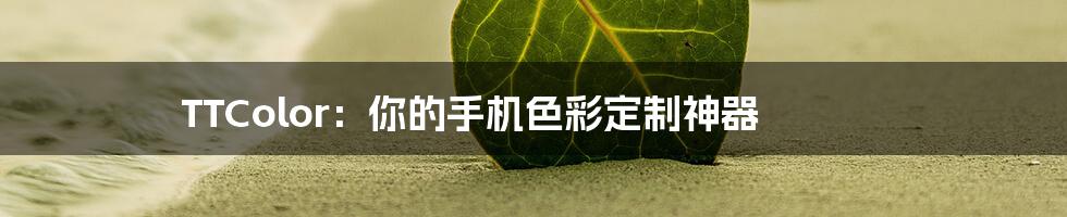 TTColor:你的手机色彩定制神器