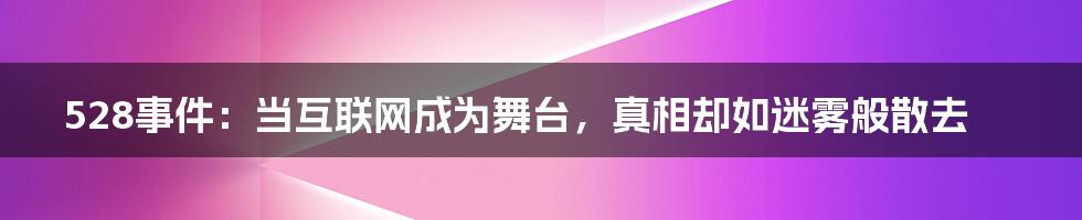 528事件:当互联网成为舞台,真相却如迷雾般散去