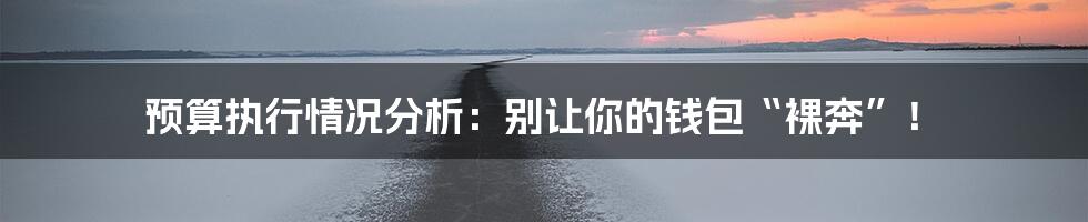预算执行情况分析：别让你的钱包“裸奔”！