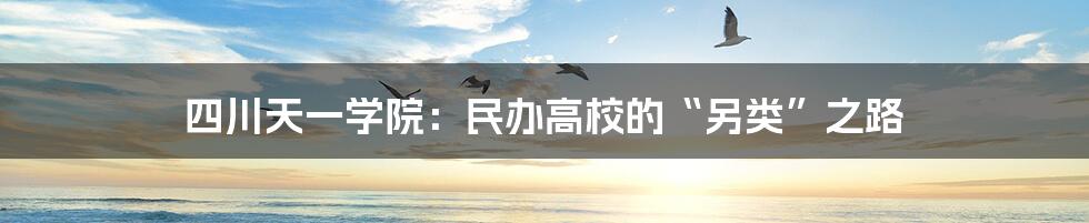 四川天一学院：民办高校的“另类”之路