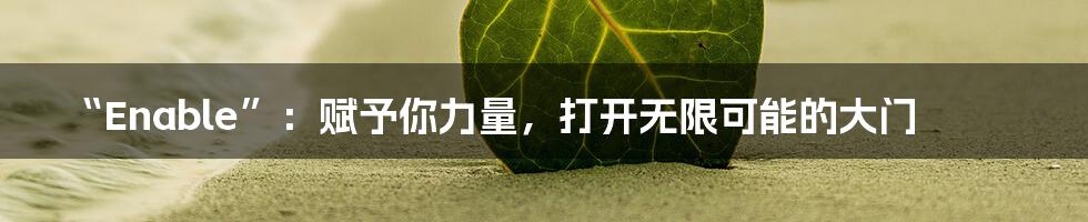 “Enable”:赋予你力量,打开无限可能的大门