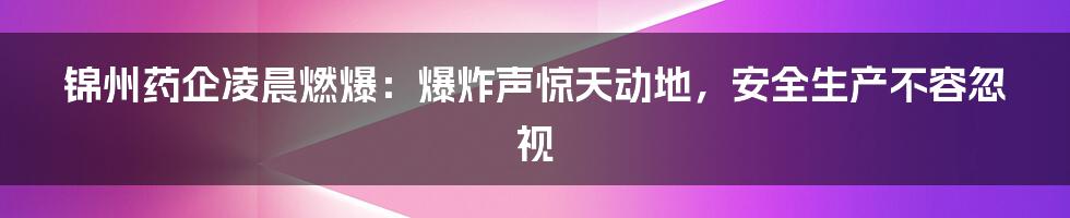 锦州药企凌晨燃爆:爆炸声惊天动地,安全生产不容忽视