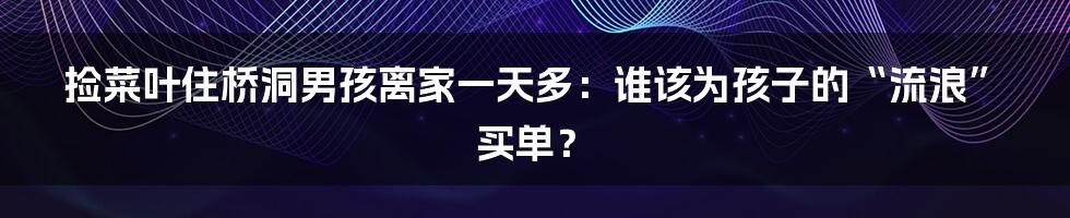 捡菜叶住桥洞男孩离家一天多:谁该为孩子的“流浪”买单?