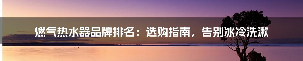 燃气热水器品牌排名:选购指南,告别冰冷洗漱