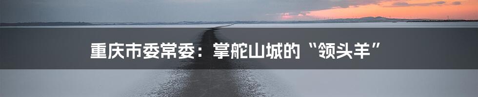 重庆市委常委:掌舵山城的“领头羊”