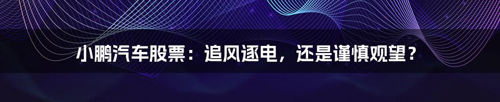 小鹏汽车股票:追风逐电,还是谨慎观望?
