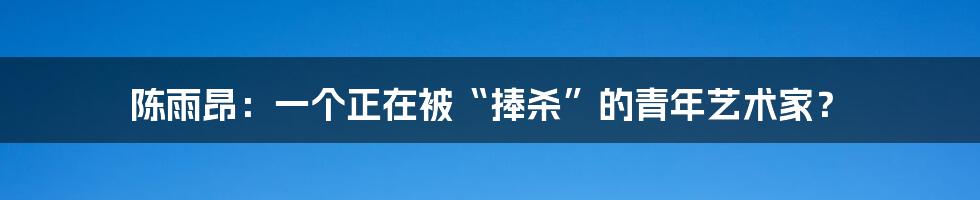 陈雨昂:一个正在被“捧杀”的青年艺术家?