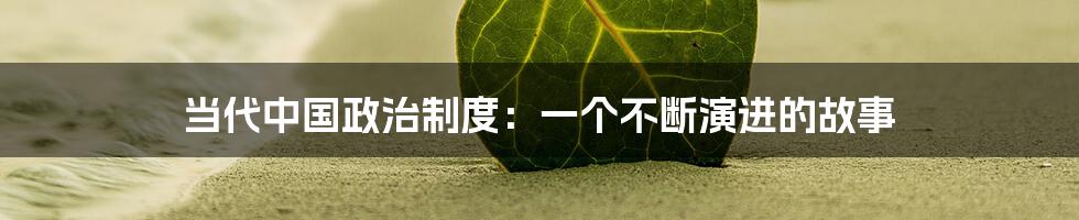 当代中国政治制度:一个不断演进的故事