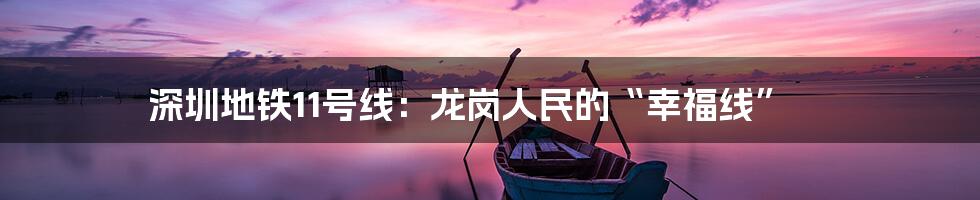 深圳地铁11号线:龙岗人民的“幸福线”