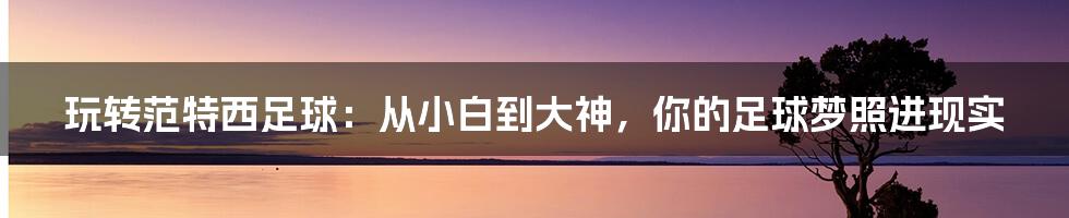 玩转范特西足球:从小白到大神,你的足球梦照进现实